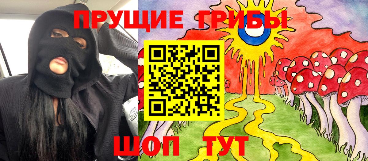 магазин  наркотиков  Псилоцибиновые грибы Cubensis  Вход с VPN  Ковров 